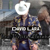 David Lara - Una Viejita Lloraba