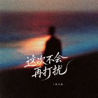 洛天依 - 这次不会再打扰