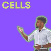 Matt Green - Cells