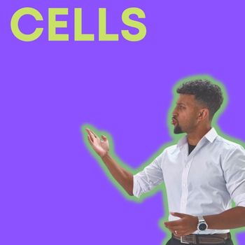 Matt Green - Cells