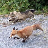 Devon Rexi, John T. Gast - Breathstep