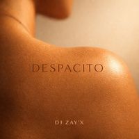 Dj Zay'X - Despacito
