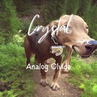 Crystal - Analog Olvido