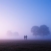 Joe South - Far Feels Further