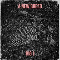 Big J - A New Breed (Live) (Explicit)