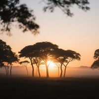 Bobby Rydell - Too Late to Love