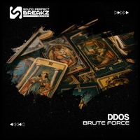 DDOS - Brute force