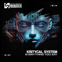 Kritycal System - Everything you say