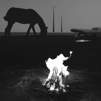 Blood Meridian - Phoenix