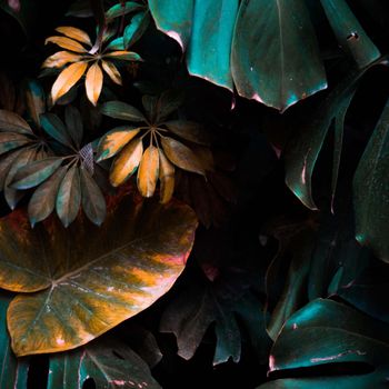 ADAD - CUANDO (Explicit)