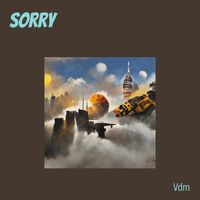 VDM - Sorry