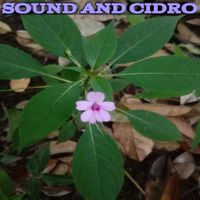 Condro - Sound and cidro
