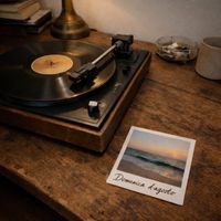 Falco - Domenica d'Agosto