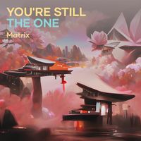 Matrix - You're Still the One (Cover)
