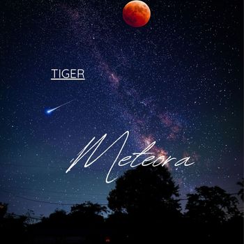 Tiger - Meteora
