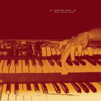 The American Analog Set - Destroy Destroy Destroy (Explicit)