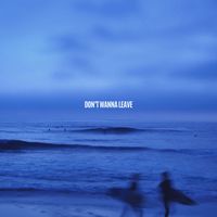 VD - Don't Wanna Leave