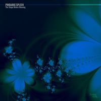 Pindaric Spleen - The Shape Before Meaning