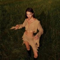 sunny - midnight sun