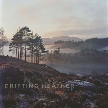 Robert Dahlström - Drifting Heather
