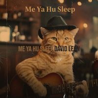 David Leon - Me Ya Hu Sleep