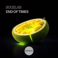 Souzlab - End Of Times