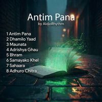 AIdioRhythm - Antim Pana
