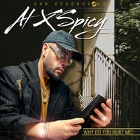 AL-X Spicy - Why Do You Hurt Me