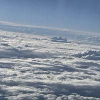 Shakes - Inspired Mystical Moments