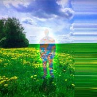 INTROSPECT - hallucination