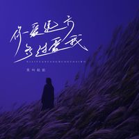 莫叫姐姐 - 你爱远方多过爱我