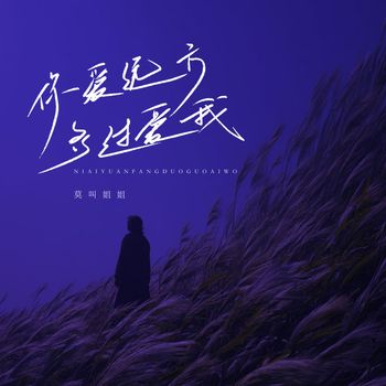 莫叫姐姐 - 你爱远方多过爱我