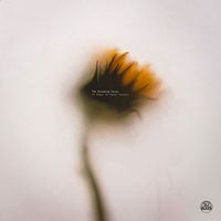 DJ LEE - The Blooming Focus (10 Steps to Inner Clarity)