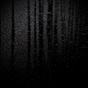 The Dark Void - Braincell