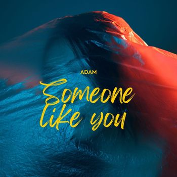 Adam - Someone like you