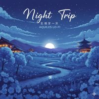 Aquiles lo-fi - Night Trip