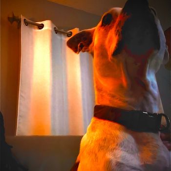 Obskure - hell hounds (Explicit)