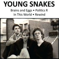 Young Snakes - Brains and Eggs