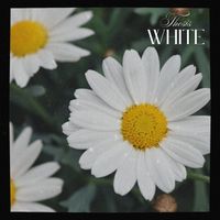 Thesis - White