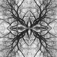 RasadRashi - End of winter