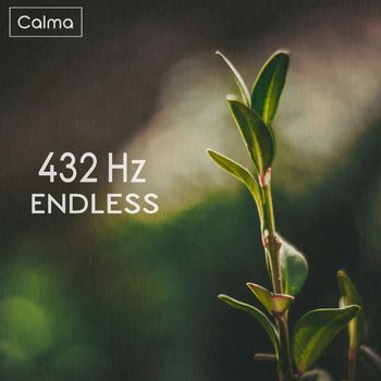 Calma - 432 Hz Endless