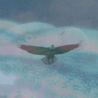 Daniel Stark - Eagle Eye