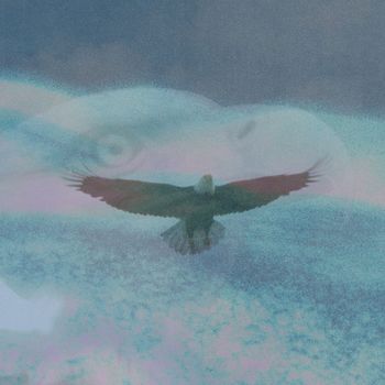 Daniel Stark - Eagle Eye