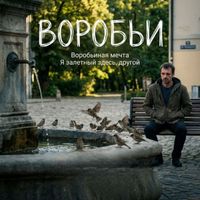 METRONOM - Воробьи