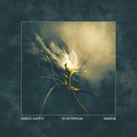 Dario Suerte - In Aeternum