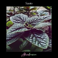 Santo - Abundancia