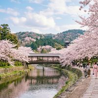 breeze - beautiful spring