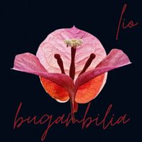 Lio - Bugambilia