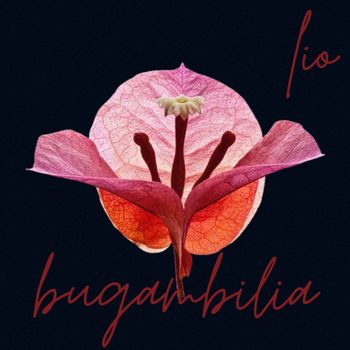 Lio - Bugambilia
