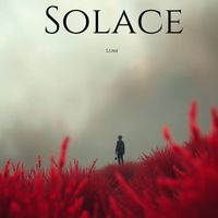 SOFA - Solace